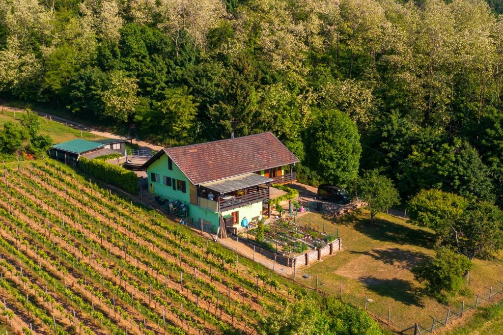 Gîte du WEINBAUM – photo 27