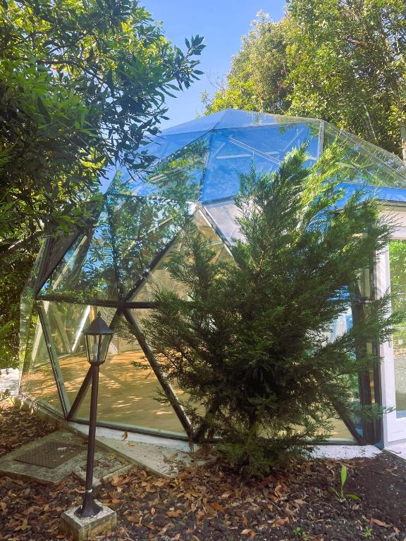 Zahrada ubytování Quinta do Abacate - Glamping Park
