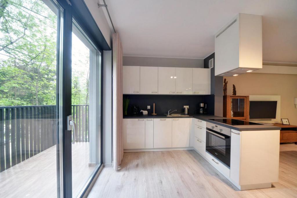 Kuchyň nebo kuchyňský kout v ubytování Ekskluzywne Apartamenty Sun Seasons 24 w Karpaczu by Noclegi Renters