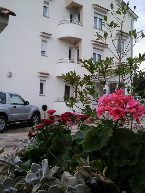 Zahrada ubytování Garfild Guest house