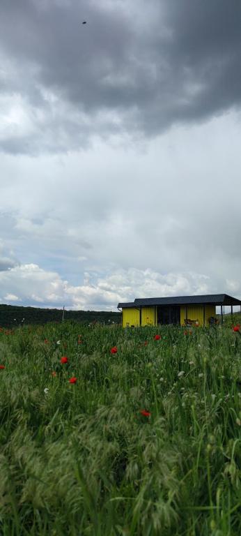 a yellow building in a field of flowers at ILLU Resort in Orhei