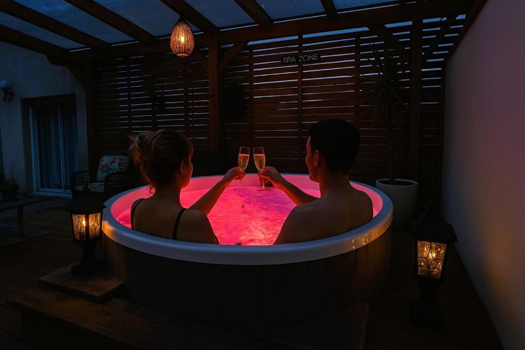 Hosté ubytování Logement avec jardin et jacuzzi privé au cœur de la Provence pour 2 adultes 1 enfant classé 4 étoiles