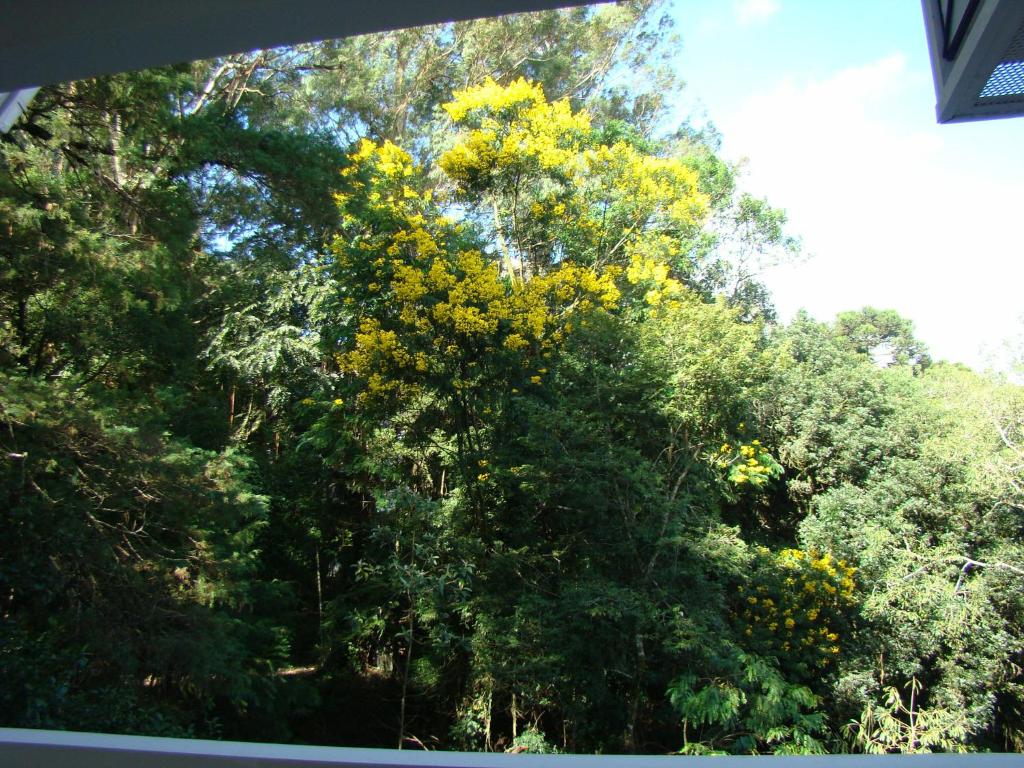  Apartamento Condado de Homelland