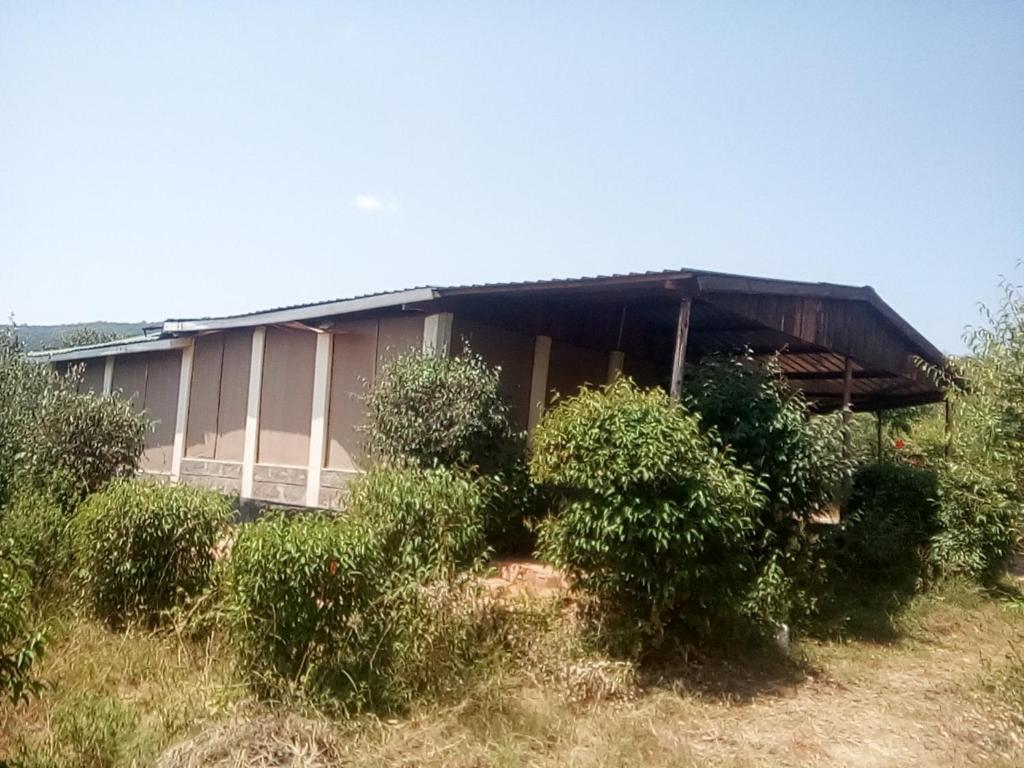 un edificio con cespugli di fronte di Miliki Maasai Mara a Maasai Mara National Reserve
