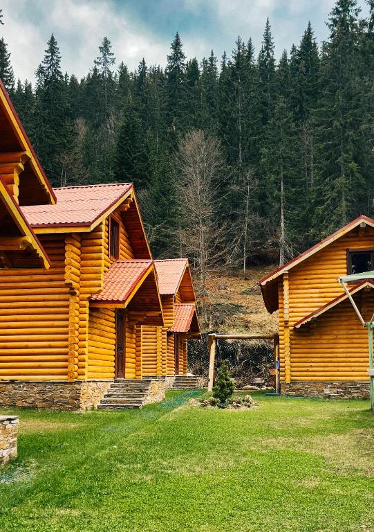 パンポロボにあるВласовъの前面に芝生の庭がある2軒の木造住宅