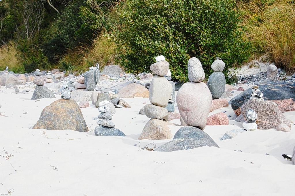 a group of rocks in the sand on a beach at Landhaus Trent Haushälfte Udars in Trent