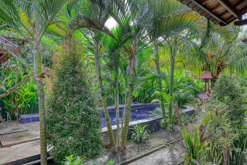 Asoka Bungalows - 12