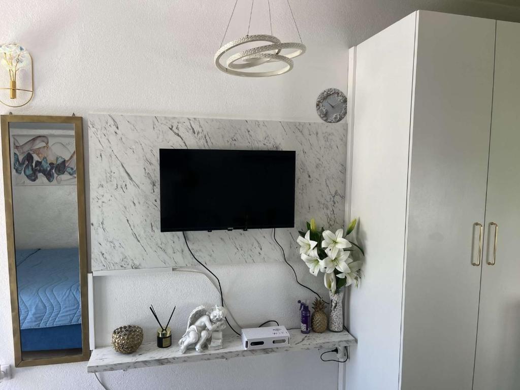 Savić Apartments tesisinde bir televizyon ve/veya eğlence merkezi