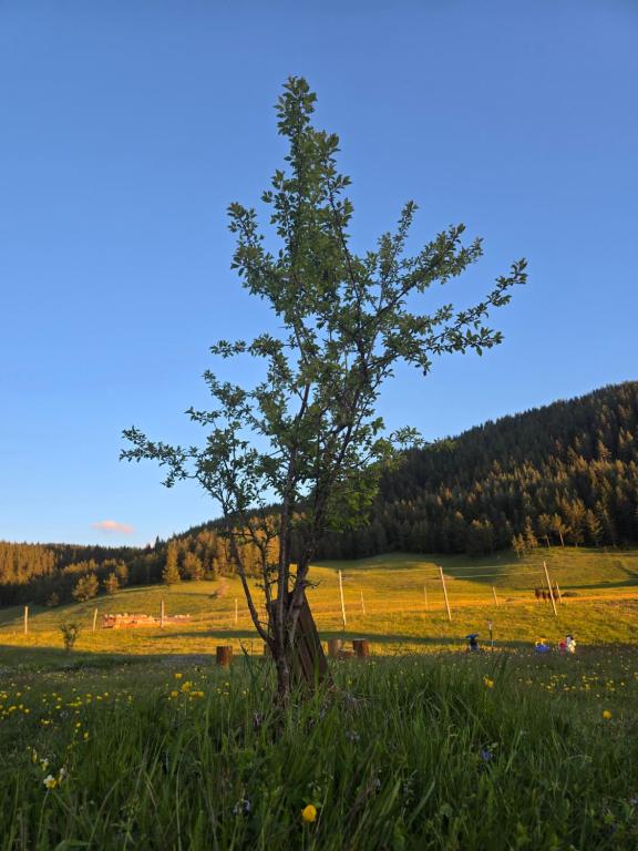 Príroda v okolí dovolenkového domu
