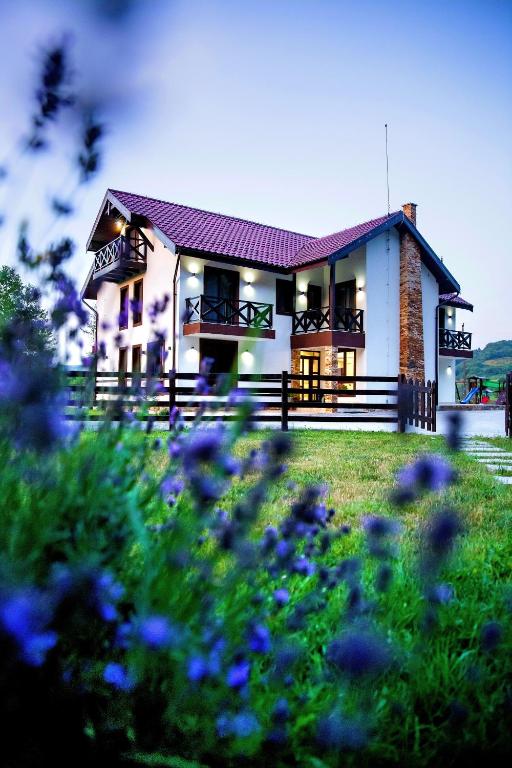a house with a field of flowers in front of it at Pensiunea Lavanda in Bratca