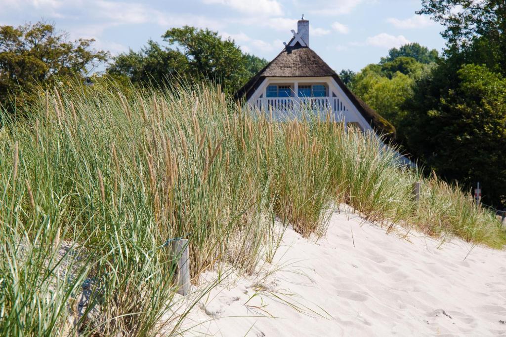 a house on the beach with tall grass at Strandhaus Claassen 10 in Ahrenshoop