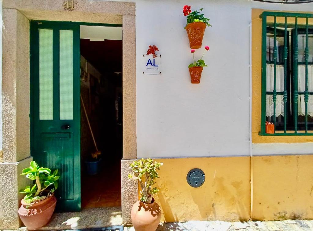 a green door with potted plants on a building at Casa da Bia in Nisa