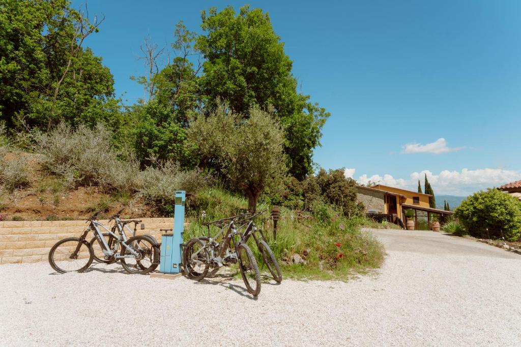 Jízda na kole v ubytování Agriturismo San Felicissimo nebo okolí