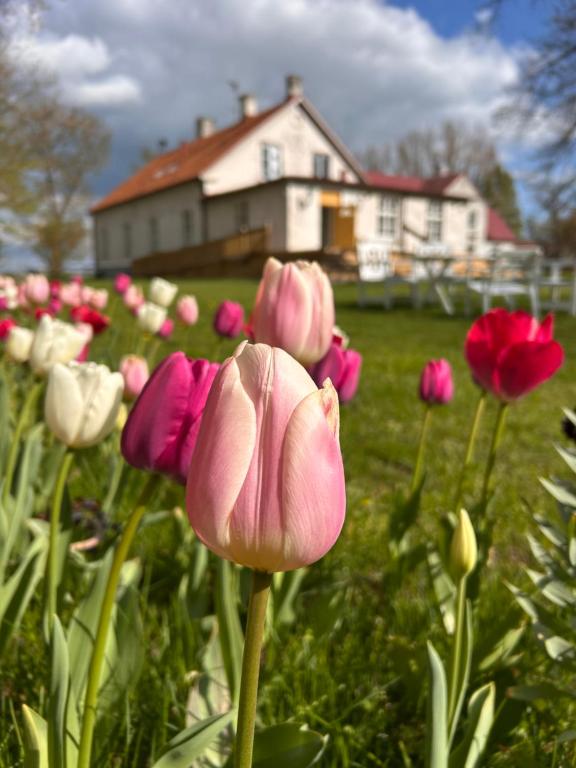 Zahrada ubytování Fredriksborg