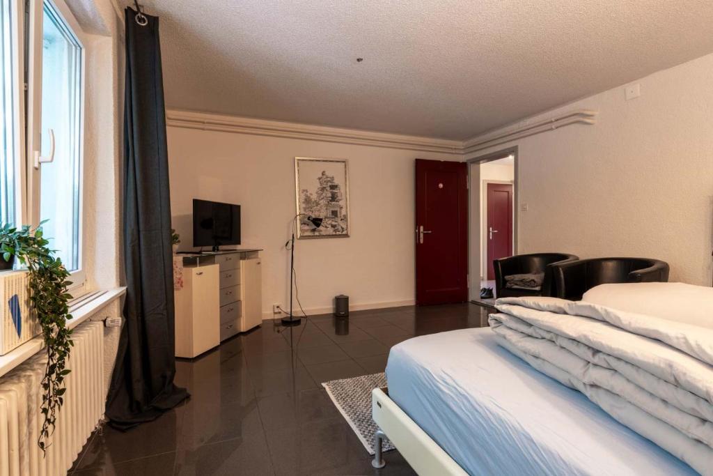 Sunny Home near Zurich Airport - Resim 13