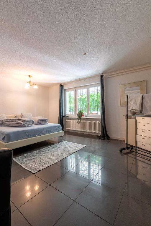 Sunny Home near Zurich Airport - Resim 23