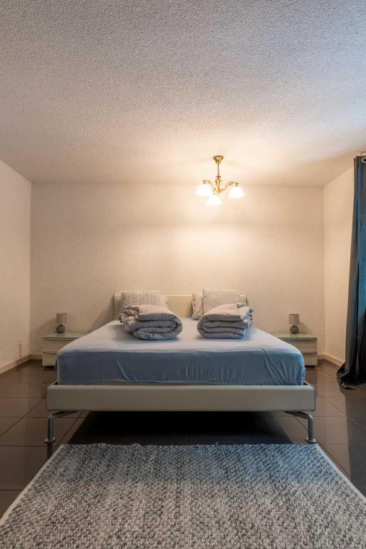 Sunny Home near Zurich Airport - Resim 27