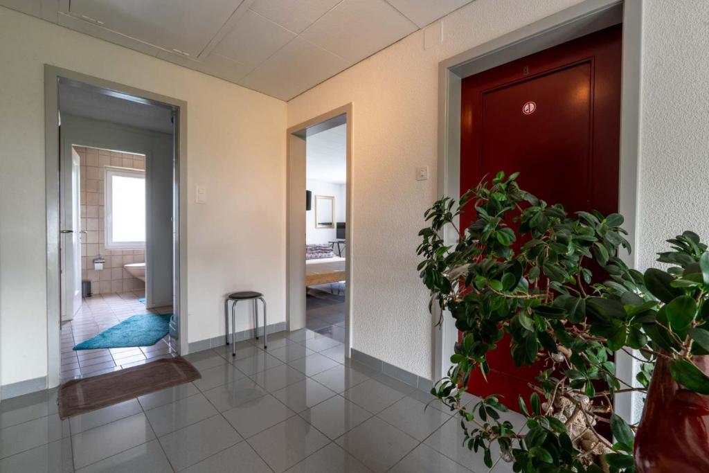 Sunny Home near Zurich Airport - Resim 38