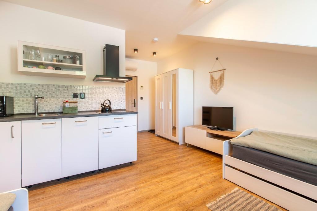 Kuchyň nebo kuchyňský kout v ubytování Restaurace Hotel Praha