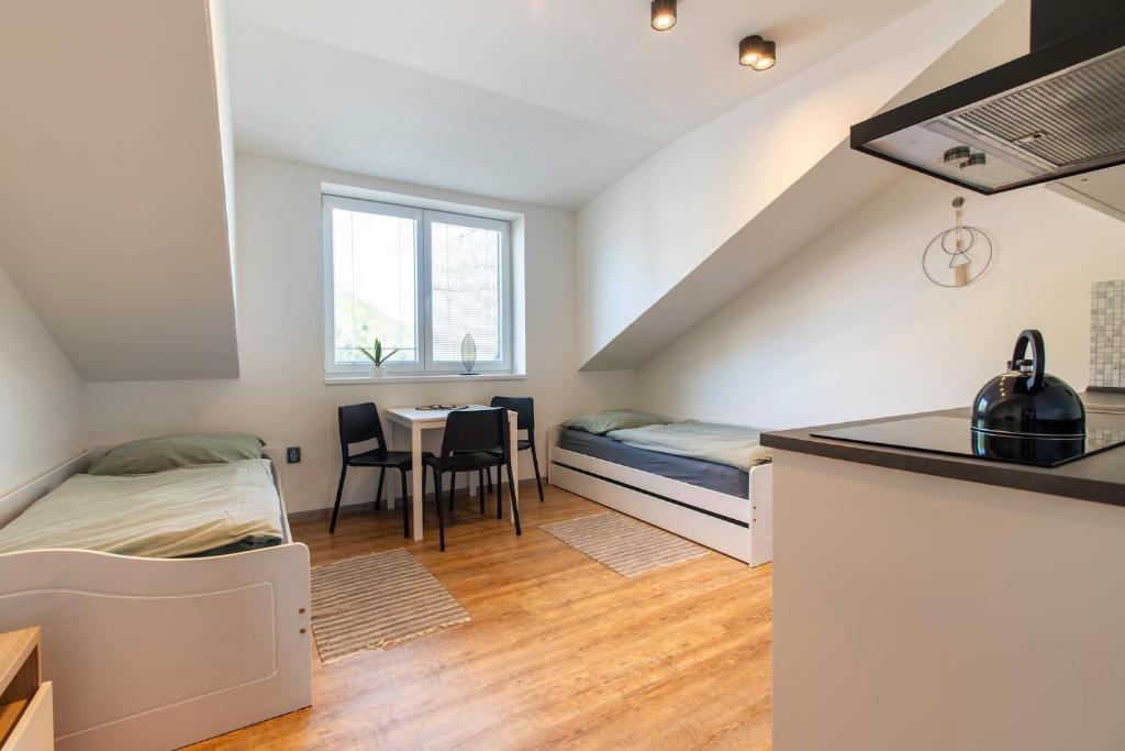 Kuchyň nebo kuchyňský kout v ubytování Restaurace Hotel Praha