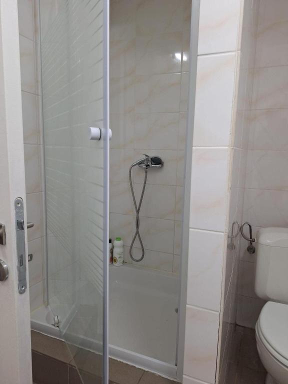 ein Bad mit einer Dusche und einem WC in der Unterkunft Midi Gateway in Brüssel