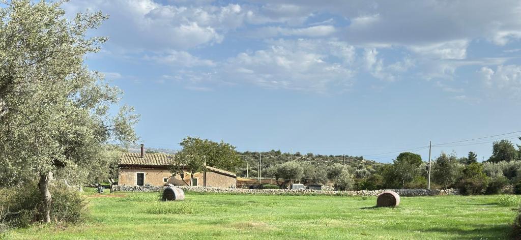 Príroda v okolí of the country house