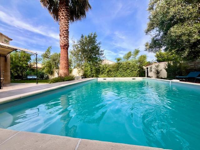 une grande piscine bleue avec un palmier dans l'établissement Villa Provence 70, à LʼIsle-sur-la-Sorgue