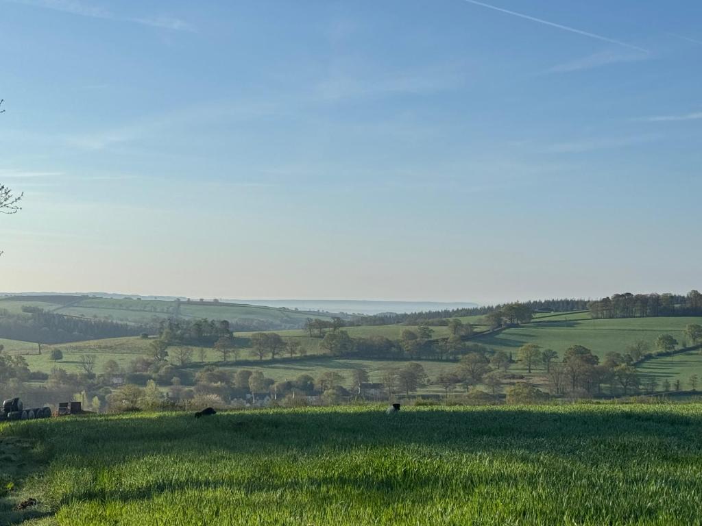 a field of green grass with two cows in the distance at The Bus On The Hill in Huntsham