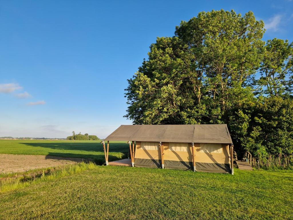 欣德洛彭Glamping Safaritent 4 persoons的树旁田野上的帐篷