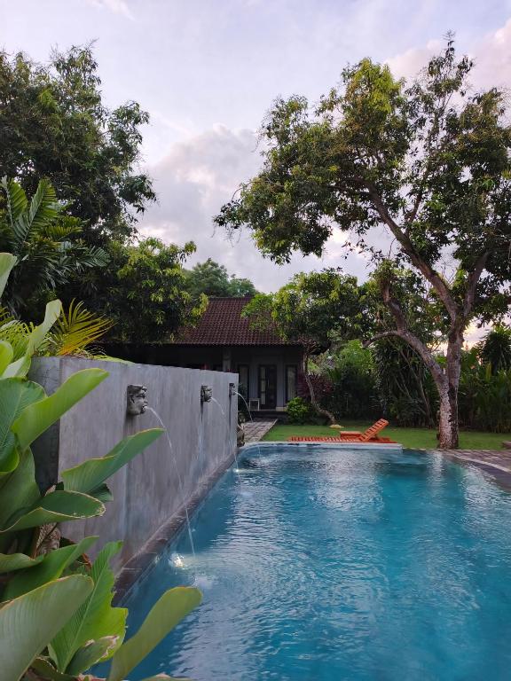 a swimming pool with blue water in a yard at Bali Gecko Homestay in Pemuteran
