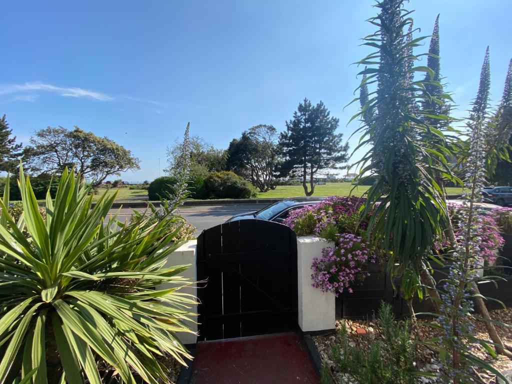 a garden with plants and a car parked in a driveway at Artists Seaside Sanctuary in St. Leonards