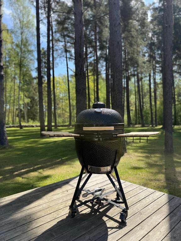 Fotografie z fotogalerie ubytování Villa Männituka v destinaci Kirikuküla
