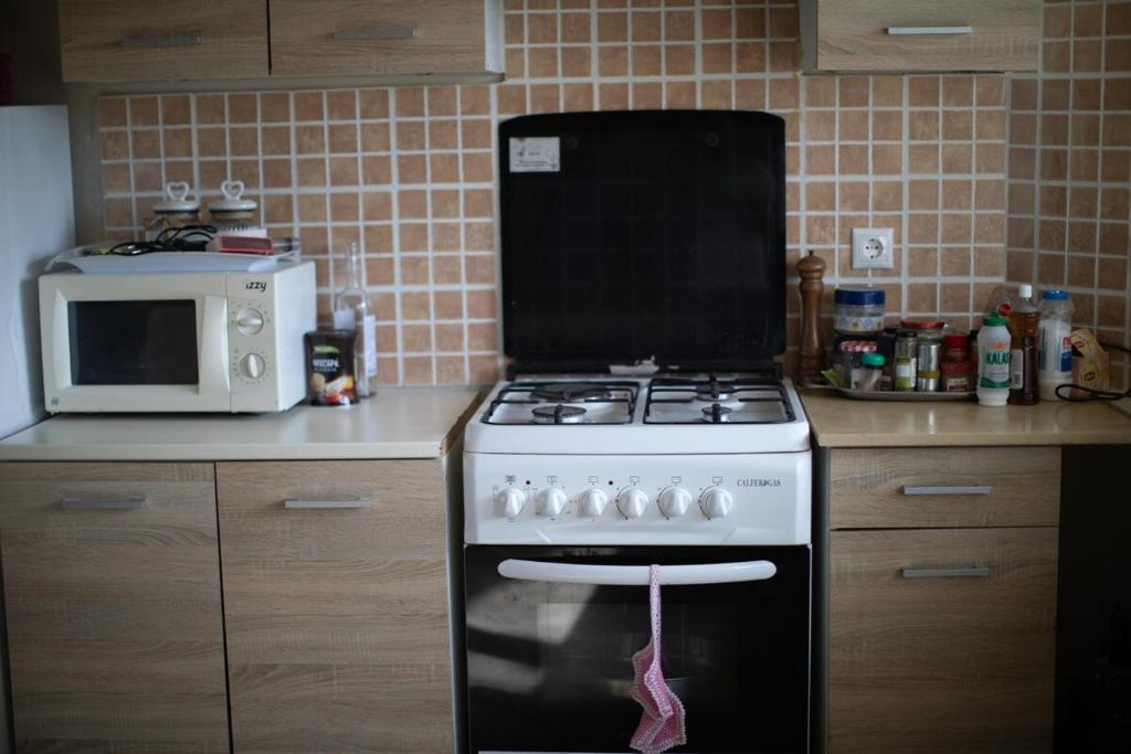 Kuchyň nebo kuchyňský kout v ubytování Mulberry house Nea makri