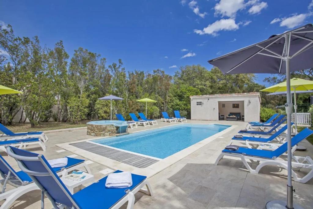 une piscine avec des chaises bleues et des parasols dans l'établissement Maison familiale avec piscine à Pietracorbara, à Pietracorbara