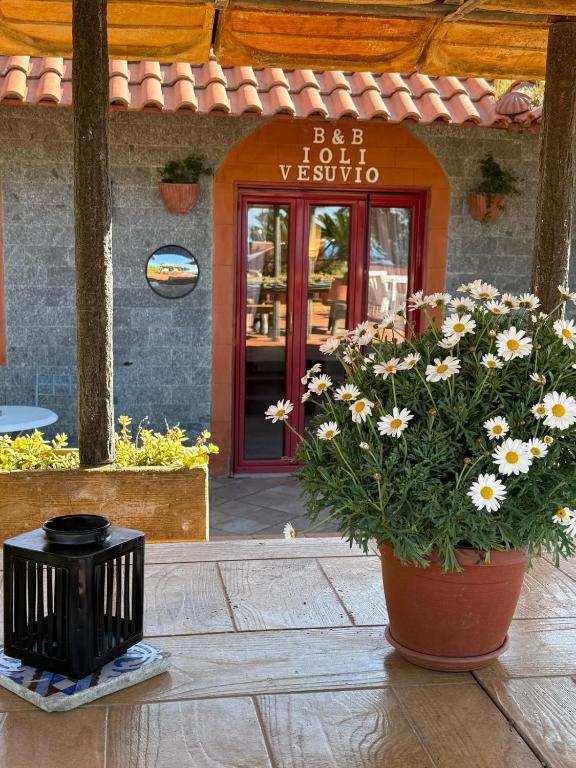B&B Iolì Vesuvio