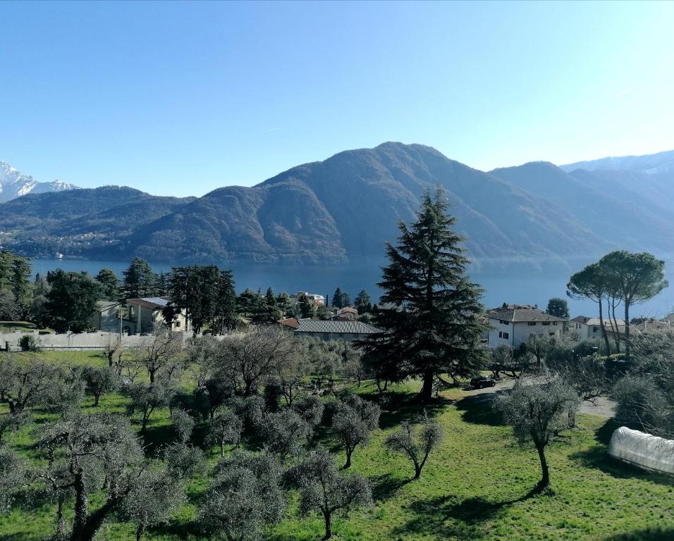 une vue d'une ville avec des montagnes en arrière-plan dans l'établissement La Cà De Zan, à Mezzegra