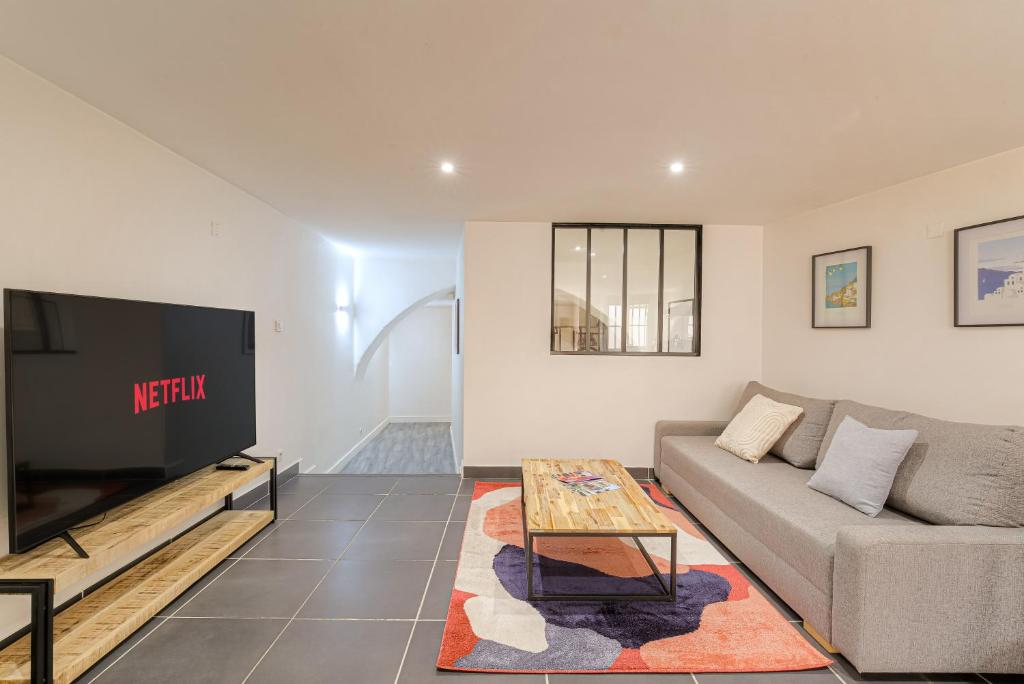 ein Wohnzimmer mit Sofa und Fernseher in der Unterkunft Le Siméon - T2 plein pied, cosy, au cœur de la zone piétonne in Vienne