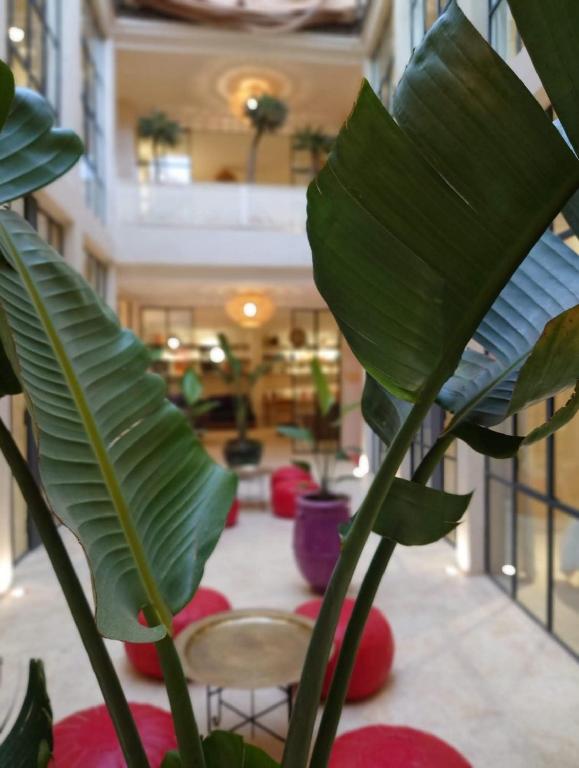 Posezení v ubytování Miostello Lifestyle Riad Marrakech