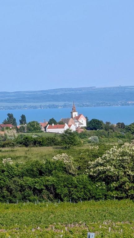Příroda nedaleko motelu