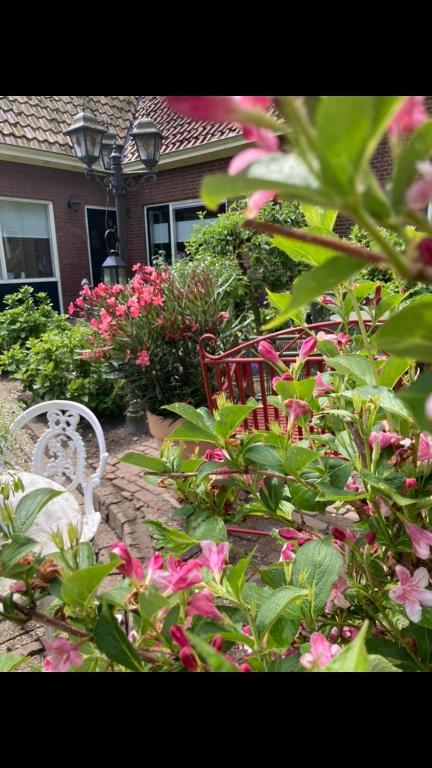 a garden with a white bench and pink flowers at Huize Belle Fleur in Hierden