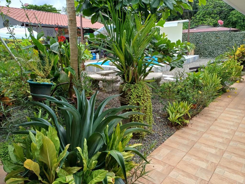 Zahrada ubytování Habitaciones Kolibri