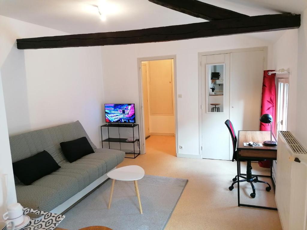 un salon avec un canapé et une table dans l'établissement Centre Poitiers, à Poitiers