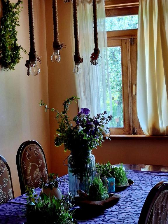 Zahrada ubytování Thea's Ethnographic Guest House