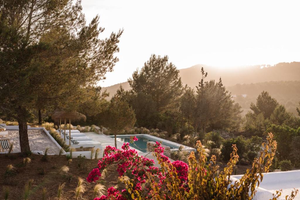 a garden with a swimming pool and flowers at Agroturismo Can Domo in Santa Eularia des Riu