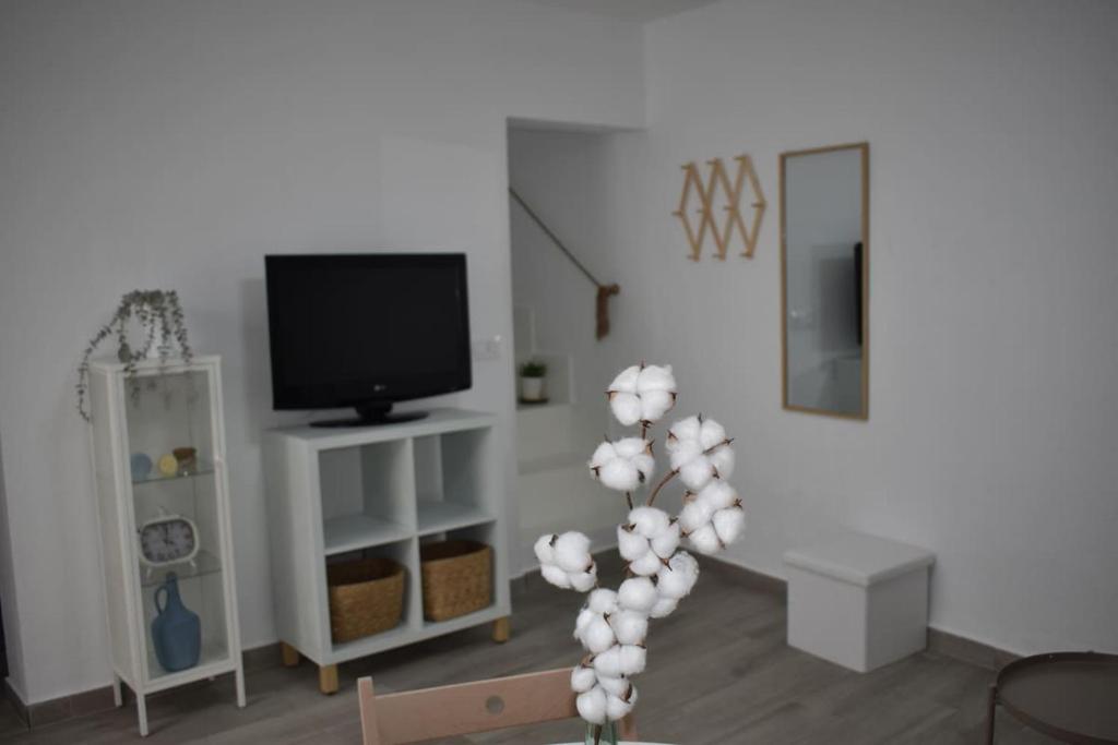 un salon avec une télévision et une plante dans l'établissement La casa de los Abuelos, à Alcalá de los Gazules