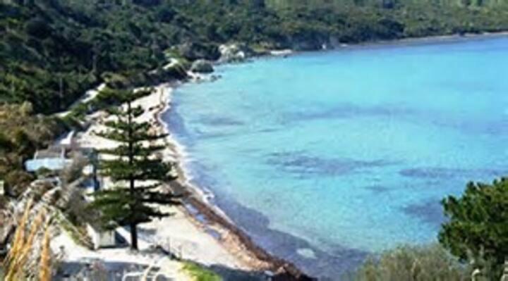a view of a beach with trees and the ocean at La Casa di Raffa in Agropoli