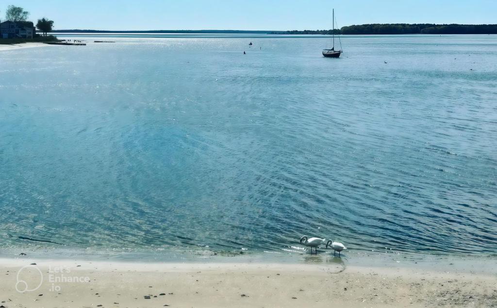 Φυσικό τοπίο κοντά σε αυτό το διαμέρισμα