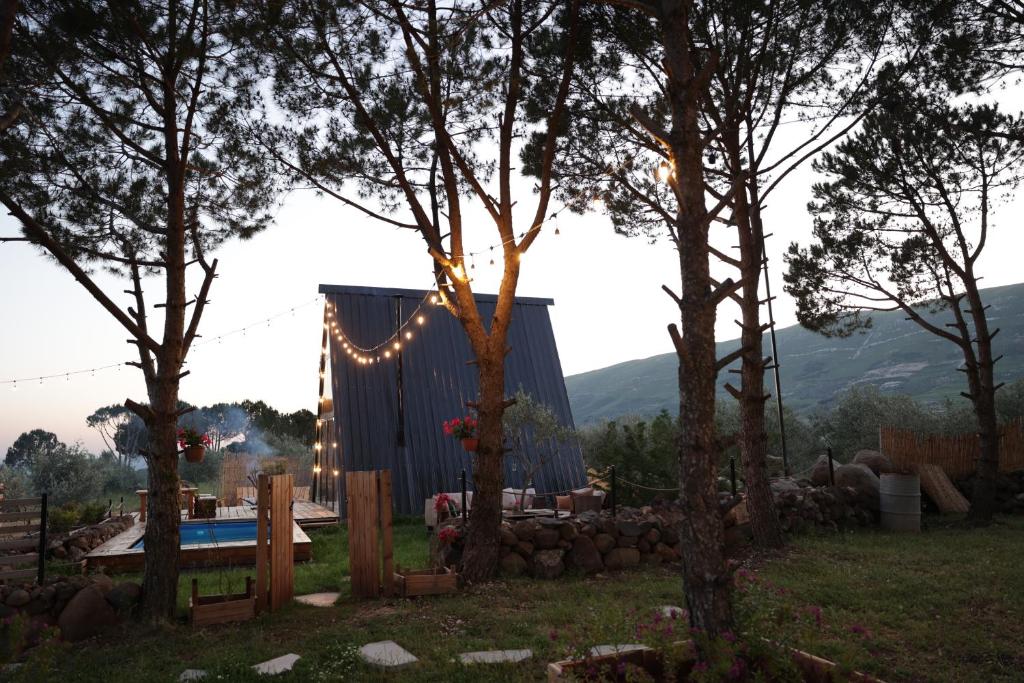una tenda in un campo con alberi e luci di Kunuz 