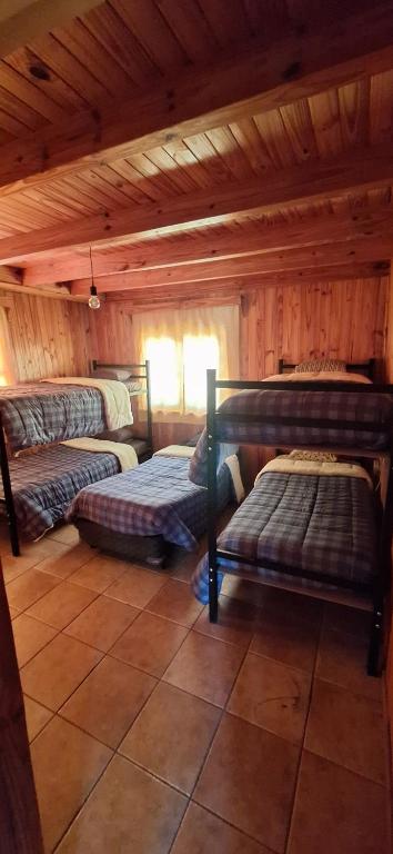 a room with four bunk beds in a cabin at Hostel Parador El Camello in Ciudad Lujan de Cuyo
