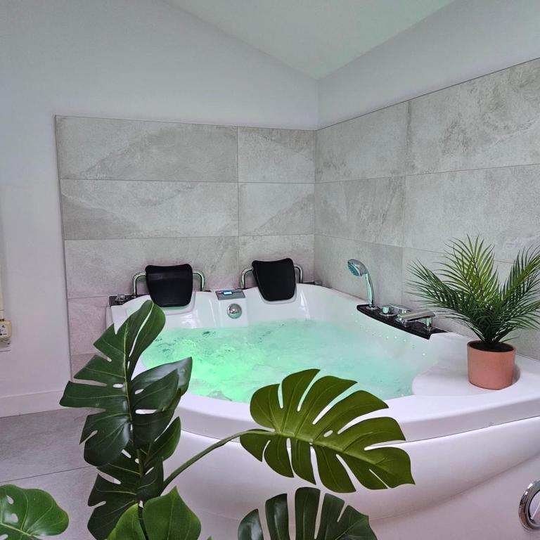 La salle de bains est pourvue d'une baignoire et de 2 toilettes. dans l'établissement Confidences Escale à Brissac, à Brissac-Quincé